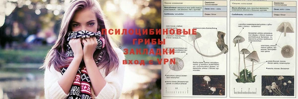 2c-b Балабаново