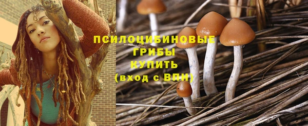 СК Балахна